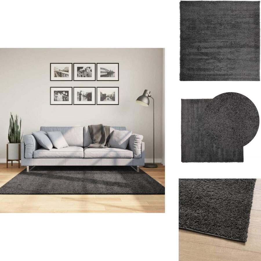 VidaXL Vloerkleed Vloerkleden Tapijt Vloerbedekking Vloerkleed PAMPLONA shaggy hoogpolig 160x160 cm antraciet