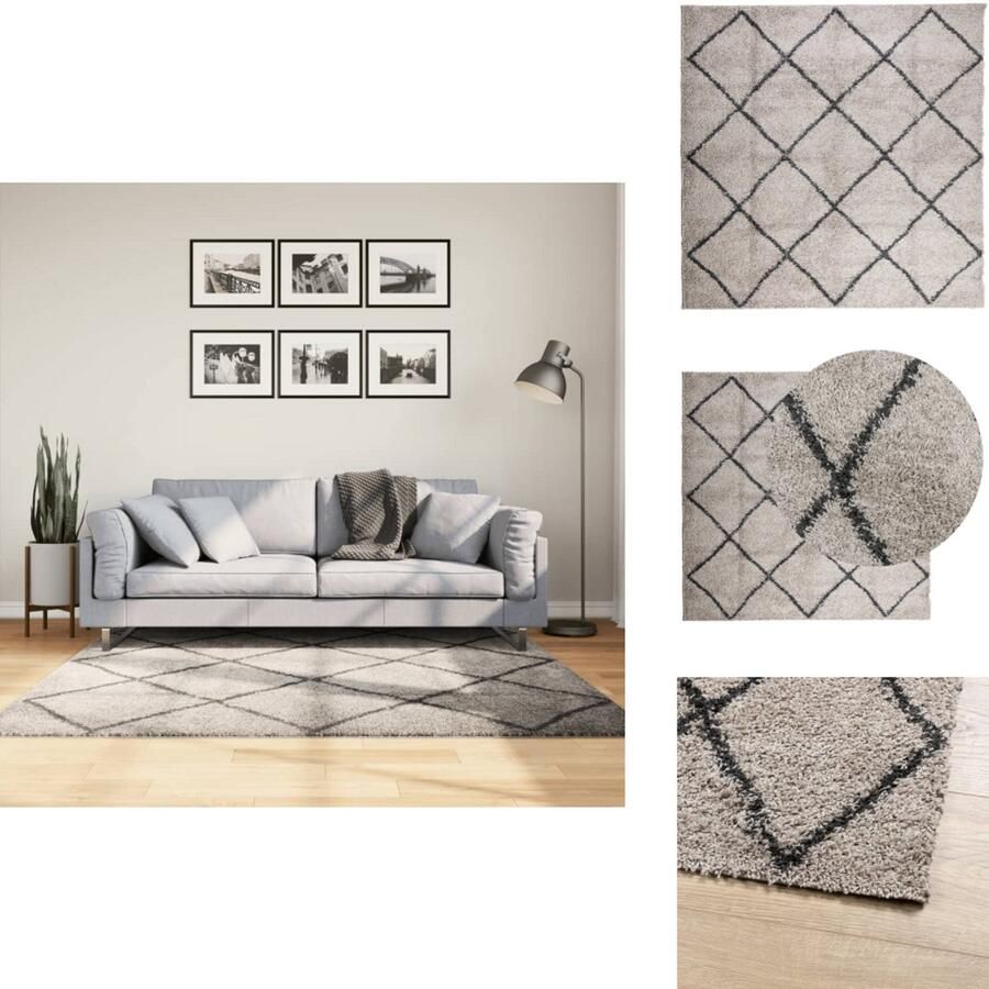 VidaXL Vloerkleed Vloerkleden Tapijt Vloerbedekking Vloerkleed PAMPLONA shaggy hoogpolig 160x160 cm beige antraciet