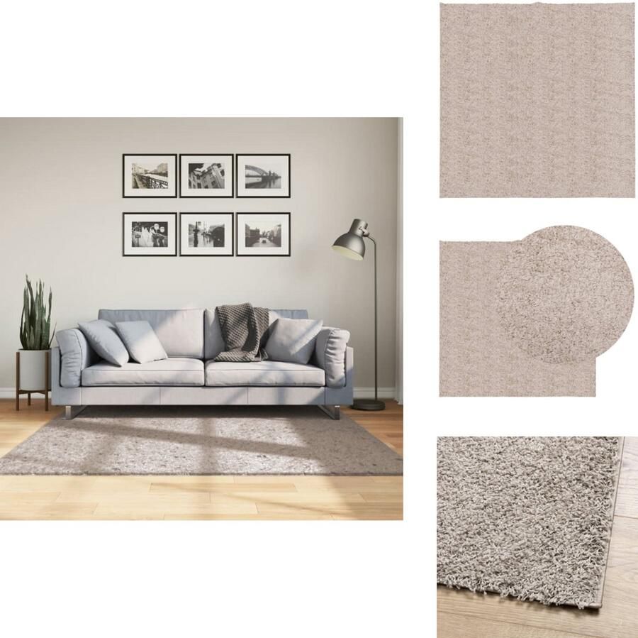 The Living Store Vloerkleed PAMPLONA shaggy hoogpolig modern 160x160 cm beige Shaggy Vloerkleed Beige Vloerkleed Woonkamer Tapijt Slaapkamer Tapijt Vloertegels Alternatief