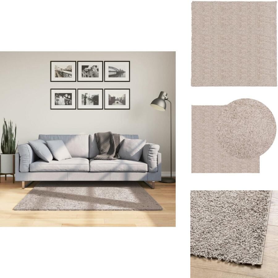 VidaXL Vloerkleed Vloerkleden Tapijt Vloerbedekking Vloerkleed PAMPLONA shaggy hoogpolig modern 120x120 cm beige