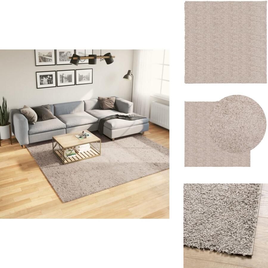 VidaXL Vloerkleed Vloerkleden Tapijt Vloerbedekking Vloerkleed PAMPLONA shaggy hoogpolig modern 240x240 cm beige