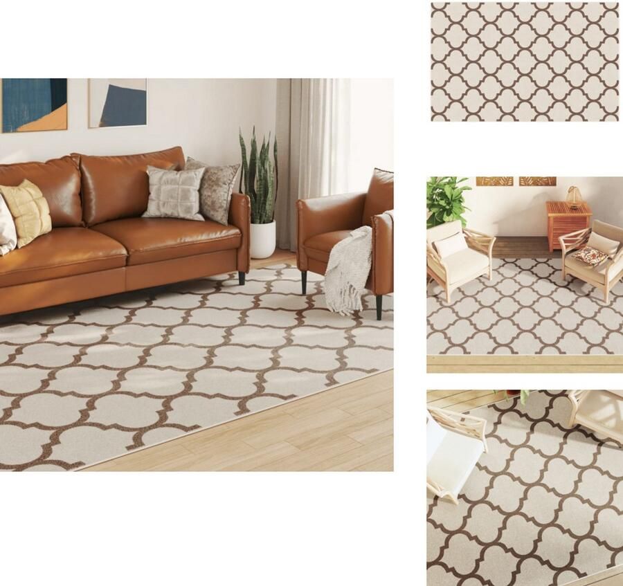 The Living Store Vloerkleed Sorona Dupont Indoor Outdoor 190 x 300 cm Meerkleurig Vloerkleed Tapijten Indoor Outdoor Bruin - Foto 4