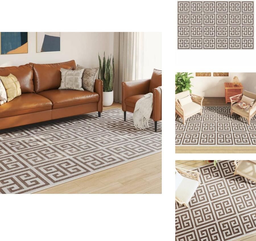 The Living Store Vloerkleed Binnen Buiten 190 x 300 cm Meerkleurig DuPont Polyester Anti-slip Vloerkleed Binnen Vloerkleed Buiten Tapijten Multifunctioneel Modern Vloerkleed Bruine Vloerkleed - Foto 2