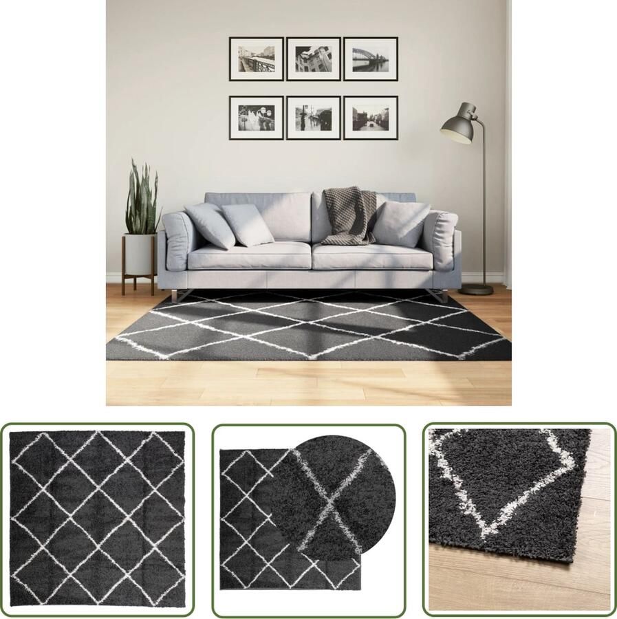 The Living Store Shaggy Vloerkleed 160 x 160 cm Zacht 30mm Pool 100% polypropeen Shaggy Vloerkleed Woonkamer Tapijt Living Room Decor Vloerbekleding Kruipend Kinderspeelmatje