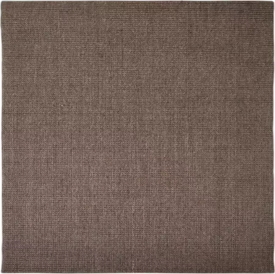 VidaXL Vloerkleed 100x100 cm natuurlijk sisal bruin