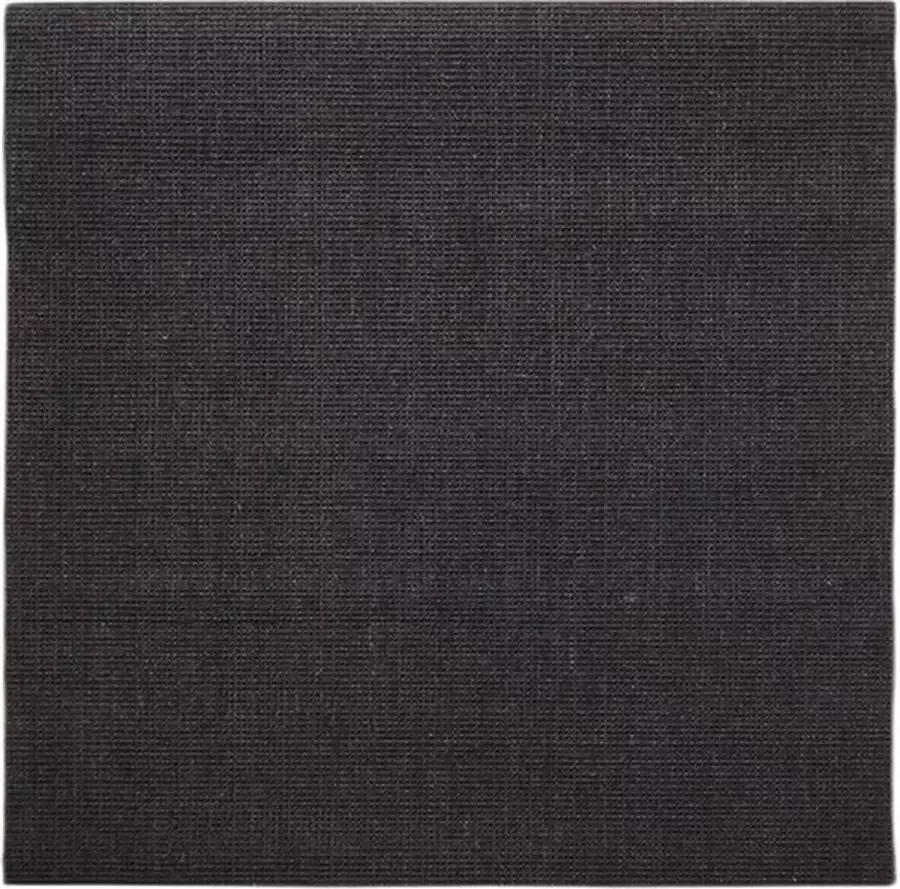 VidaXL Vloerkleed 100x100 cm natuurlijk sisal zwart
