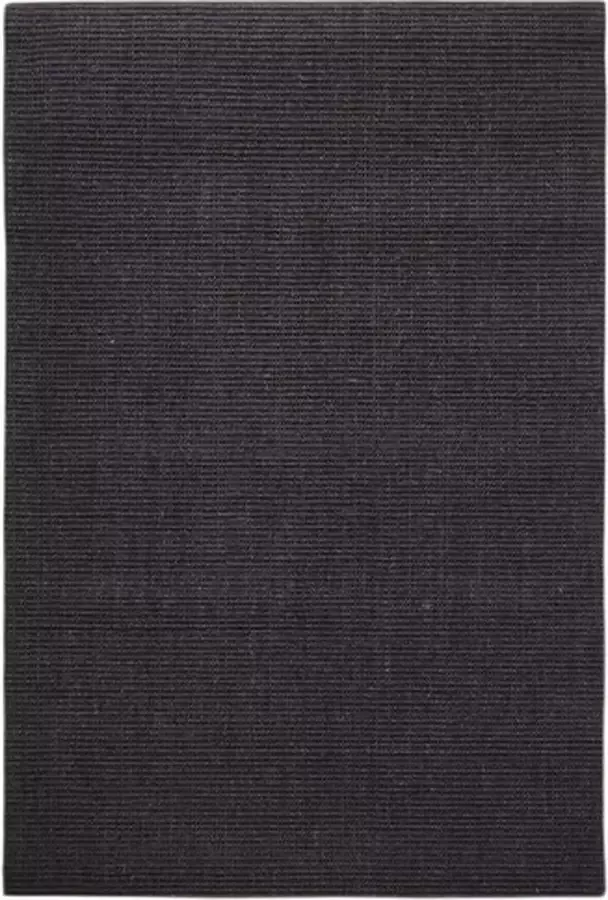 VidaXL Vloerkleed 100x150 cm natuurlijk sisal zwart