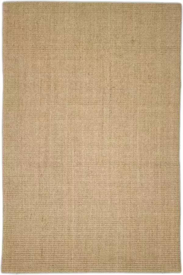 VidaXL -Vloerkleed-66x100-cm-natuurlijk-sisal - Foto 3
