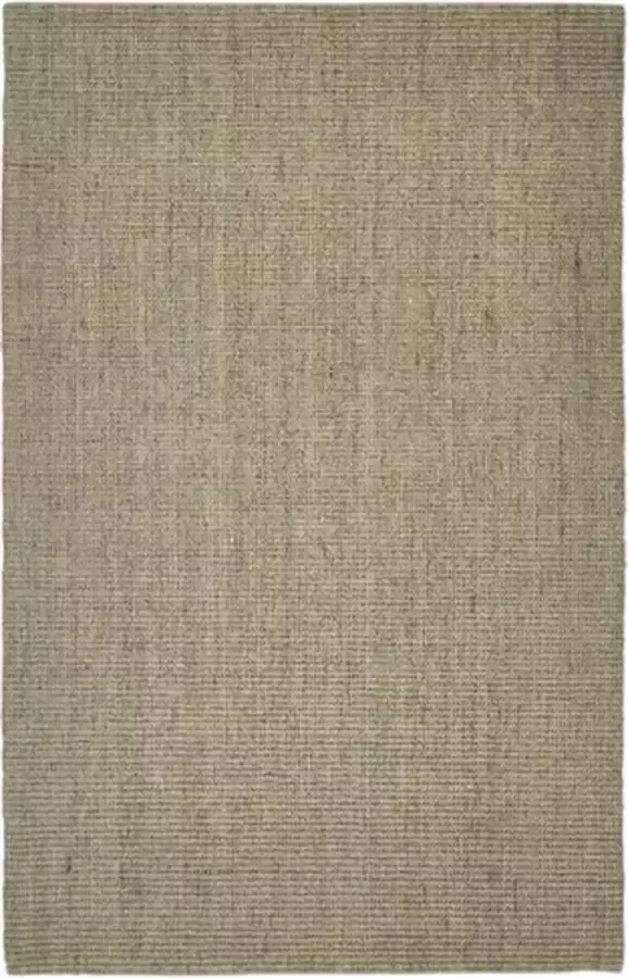 vidaXL Vloerkleed 66x100 cm natuurlijk sisal taupe