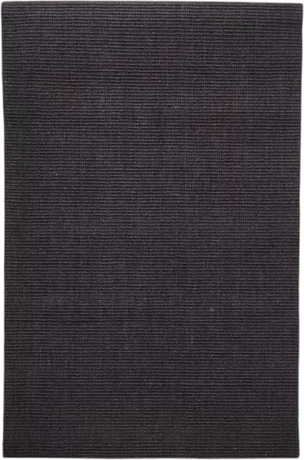 VidaXL Vloerkleed 66x100 cm natuurlijk sisal zwart