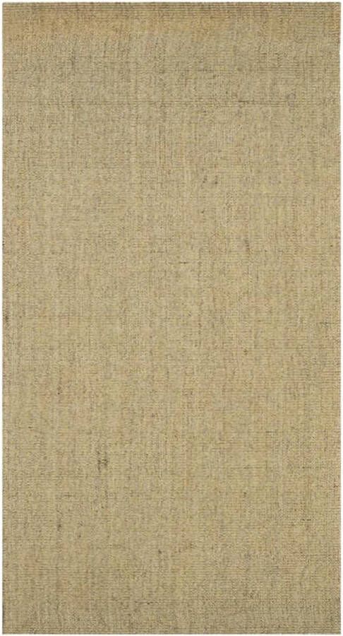 vidaXL -Vloerkleed-80x150-cm-natuurlijk-sisal-groen