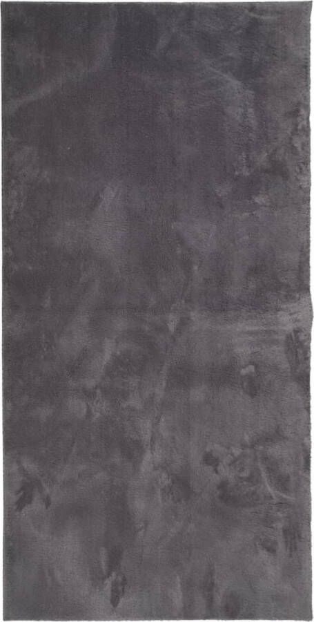 VidaXL Vloerkleed HUARTE 100x200 cm Antraciet Vloerkleed Huiskamer Slaapkamer Woonkamer Anti Slip