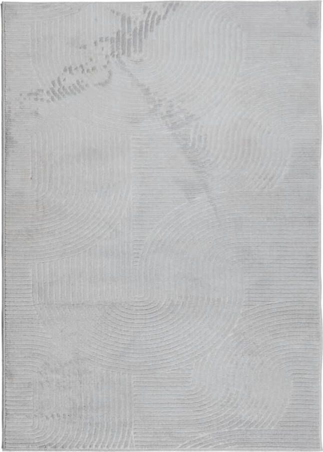 VidaXL -Vloerkleed-IZA-laagpolig-Scandinavisch-200x280-cm-grijs