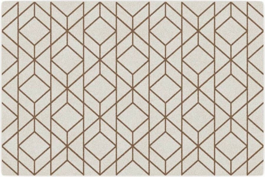 VidaXL -Vloerkleed-voor-binnen-buiten-laagpolig-120x180-cm-meerkleurig - Foto 6