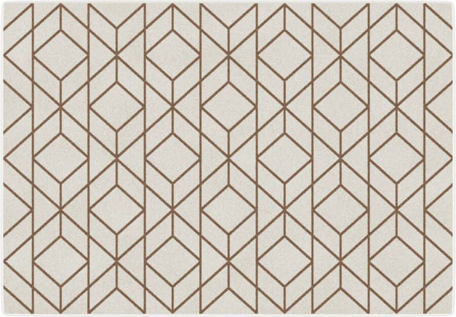 VidaXL -Vloerkleed-voor-binnen-buiten-laagpolig-160x230-cm-meerkleurig