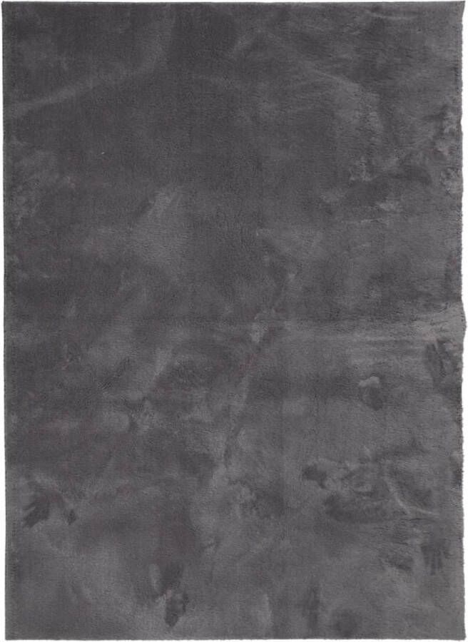 VidaXL -Vloerkleed-laagpolig-zacht-en-wasbaar-140x200-cm-antracietkleur