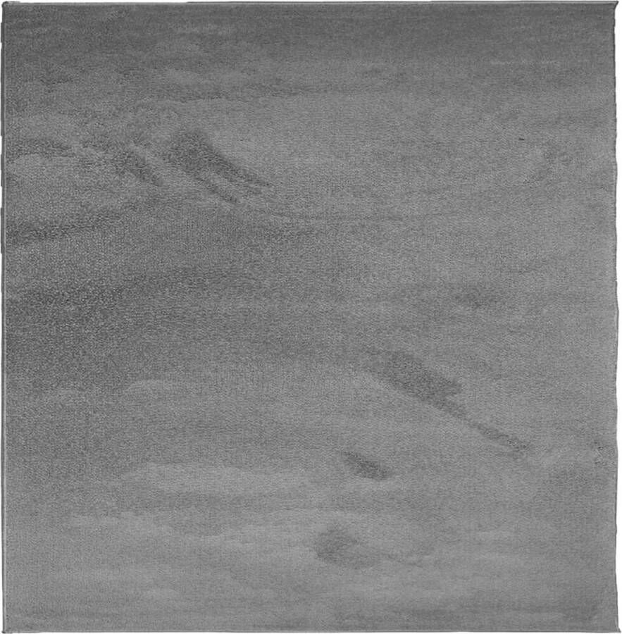 VidaXL -Vloerkleed-OVIEDO-laagpolig-160x160-cm-antracietkleurig