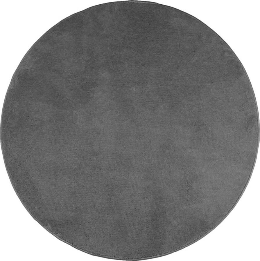 The Living Store OVIEDO Vloerkleed 120 cm Antraciet 100% Polyester Zacht en Duurzaam Vloerkleed Tapijt Antraciet Polyester Rond - Foto 2