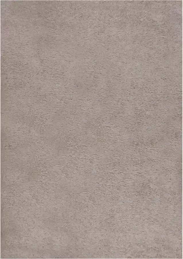 VidaXL -Vloerkleed-shaggy-hoogpolig-120x170-cm-beige