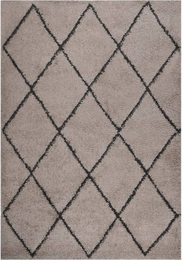 VidaXL -Vloerkleed-shaggy-hoogpolig-140x200-cm-beige-en-antracietkleur