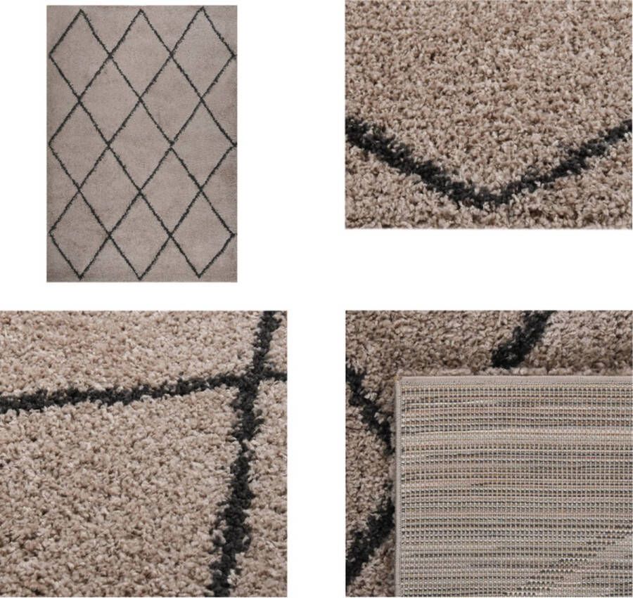 VidaXL Vloerkleed shaggy hoogpolig 160x230 cm beige en antracietkleur Vloerkleed Vloerkleden Kleed Tapijt