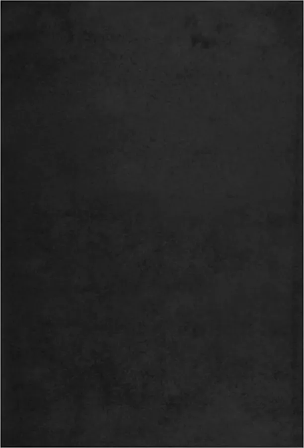 VidaXL -Vloerkleed-shaggy-hoogpolig-160x230-cm-zwart