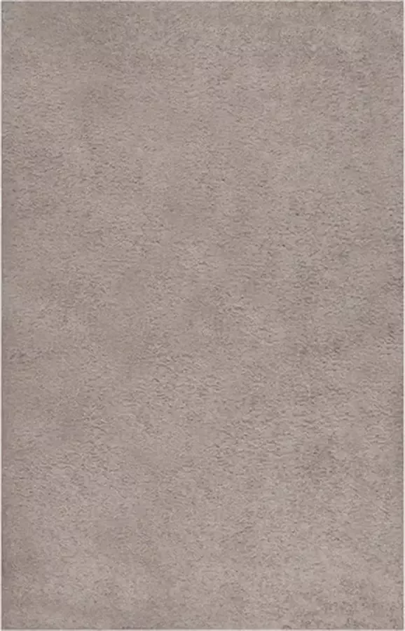 VidaXL -Vloerkleed-shaggy-hoogpolig-200x290-cm-beige - Foto 2