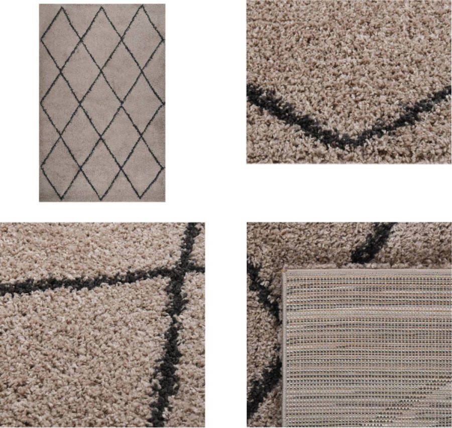 VidaXL Vloerkleed shaggy hoogpolig 200x290 cm beige en antracietkleur Vloerkleed Vloerkleden Kleed Tapijt