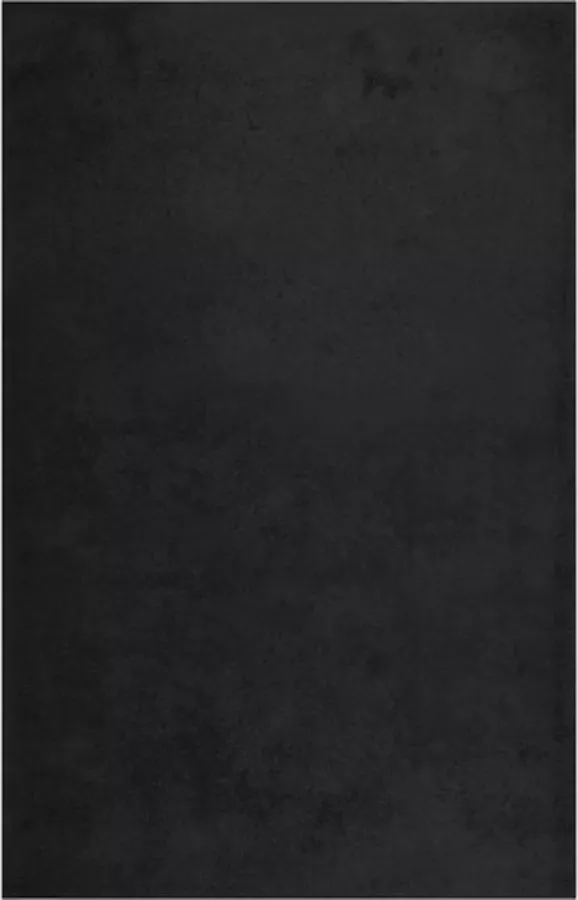 VidaXL -Vloerkleed-shaggy-hoogpolig-200x290-cm-zwart