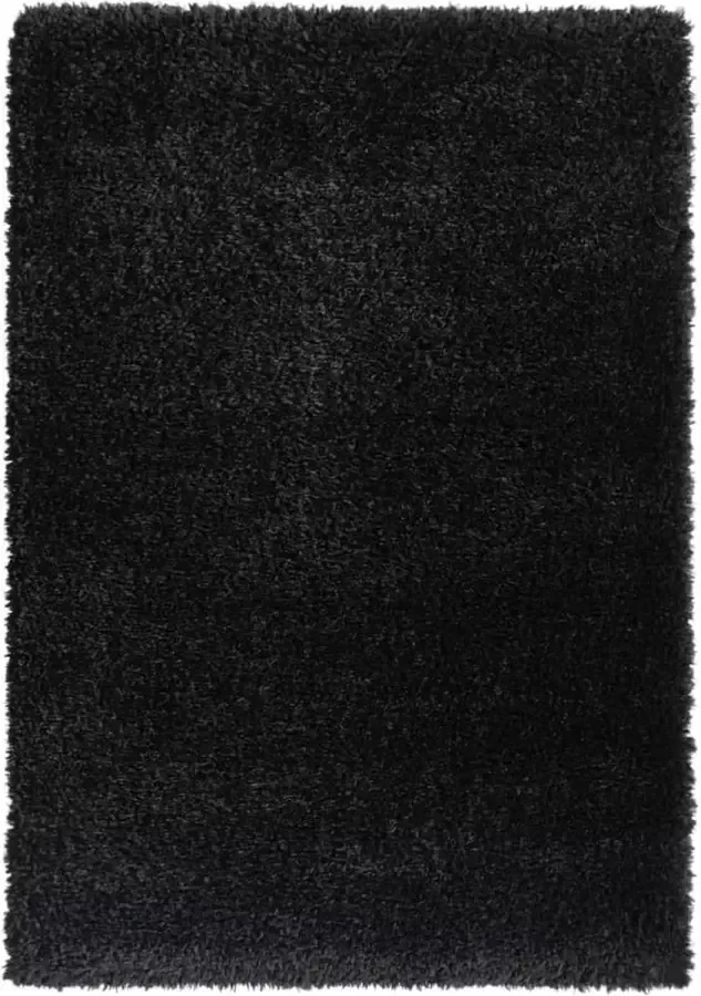 VidaXL Vloerkleed shaggy hoogpolig 50 mm 120x170 cm zwart - Foto 1