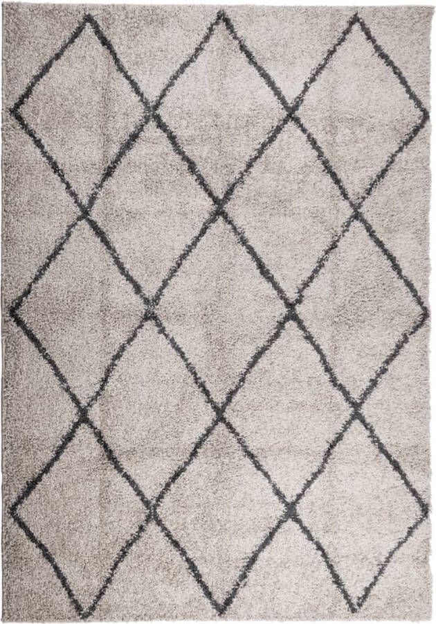 The Living Store PAMPLONA Vloerkleed 120 x 170 cm Zacht shaggy beige en antraciet Duurzaam 100% polypropyleen Shaggy Vloerkleed Woonkamer Tapijt Beige Vloerkleed Antraciet Vloerkleed Groot Vloerkleed - Foto 4