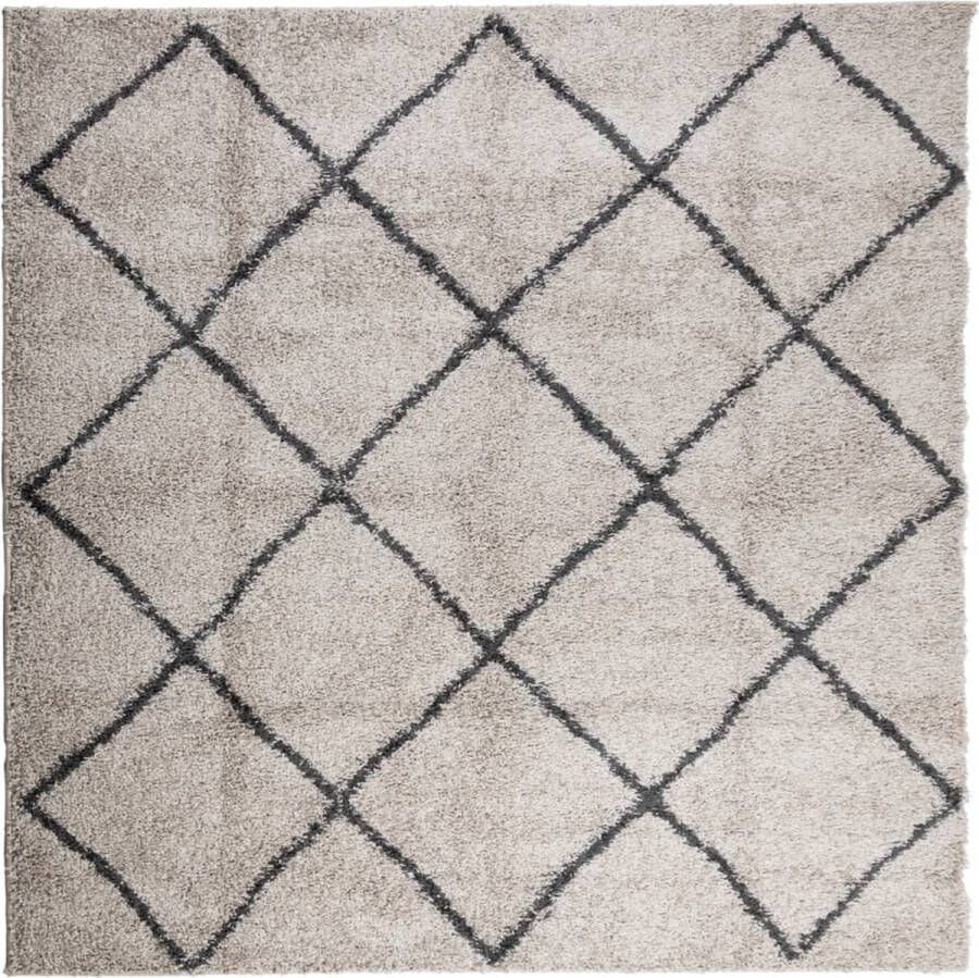 VidaXL -Vloerkleed-shaggy-hoogpolig-modern-200x200cm-beige-en-antraciet