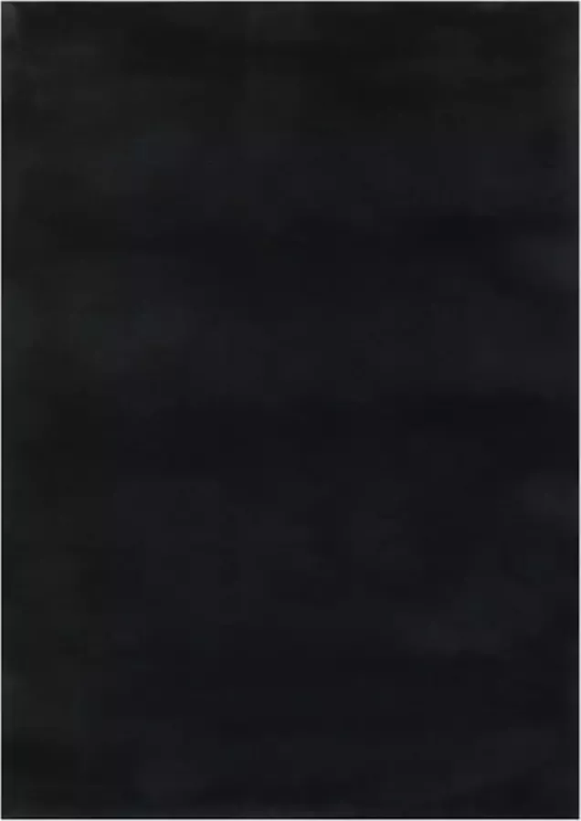 VidaXL Vloerkleed wasbaar zacht shaggy anti-slip 120x170 cm zwart