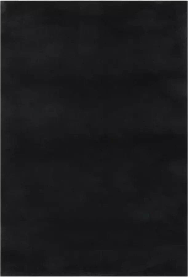 VidaXL Vloerkleed wasbaar zacht shaggy anti-slip 160x230 cm zwart
