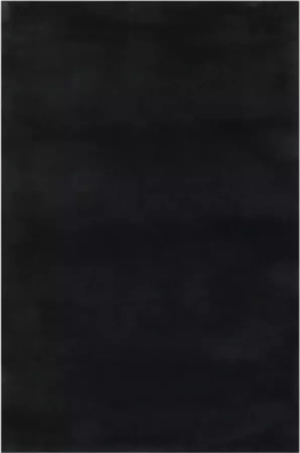 VidaXL Vloerkleed wasbaar zacht shaggy anti-slip 200x290 cm zwart