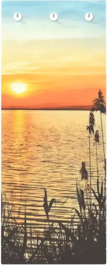 VidaXL -Wandkapstok-zonsondergang-meer-125x50-cm-gehard-glas - Foto 2