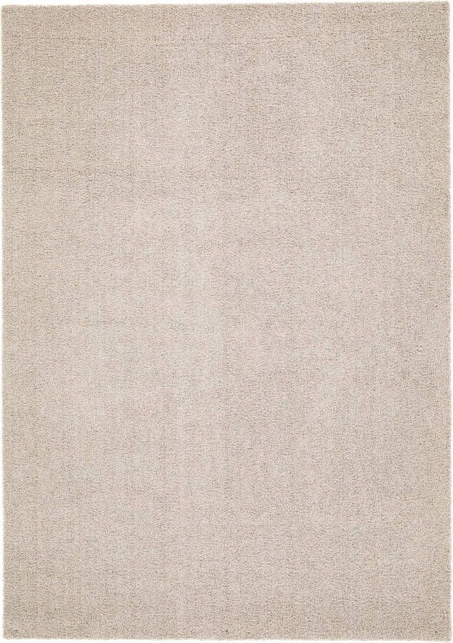 VIDI BASSANO DEL GRAPPA Modern Hoogpolig Vloerkleed 160 x 230 cm Luxe Comfort voor Woonkamer Slaapkamer en Kinderkamer Duurzaam en Stijlvol Tapijt Ideaal als Kerstcadeau en Decoratie Geschikt voor alle Interieurstijlen