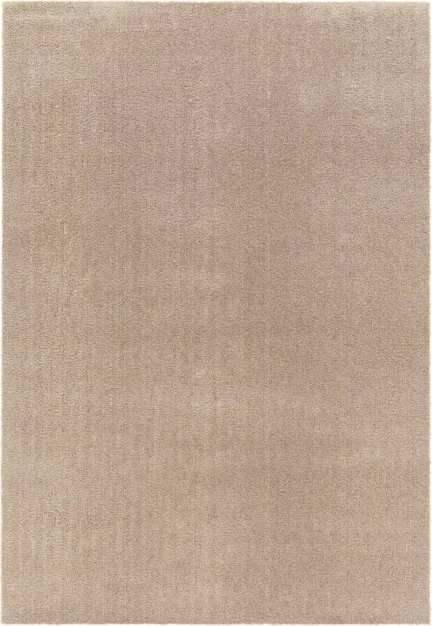 VIDI BASSANO DEL GRAPPA Hoogpolig Vloerkleed 160 x 230 cm Luxe Comfort in Taupe Tint Ideaal voor Woonkamer Slaapkamer en Kinderkamer Duurzaam en Stijlvol Tapijt Perfect als Kerstcadeau en Decoratie Geschikt voor alle Interieurstijlen - Foto 2