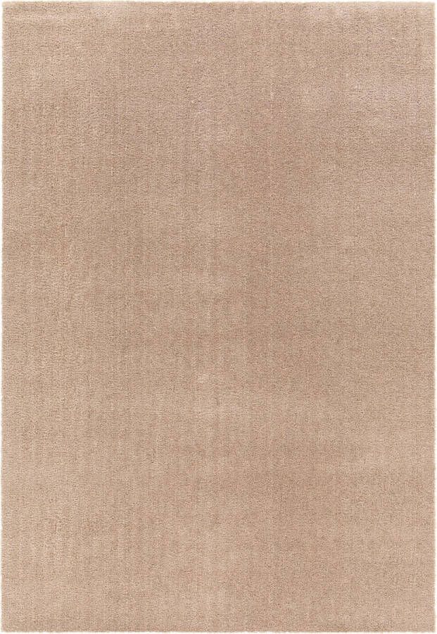 VIDI BASSANO DEL GRAPPA Hoogpolig Vloerkleed 200 x 290 cm Luxe Comfort in Taupe Tint Ideaal voor Woonkamer Slaapkamer en Kinderkamer Duurzaam en Stijlvol Tapijt Perfect als Kerstcadeau en Decoratie Geschikt voor alle Interieurstijlen - Foto 2