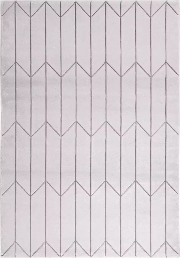 Vivace Vloerkleed Handcarved A Grijs Tapijt 230x160 cm (27721)