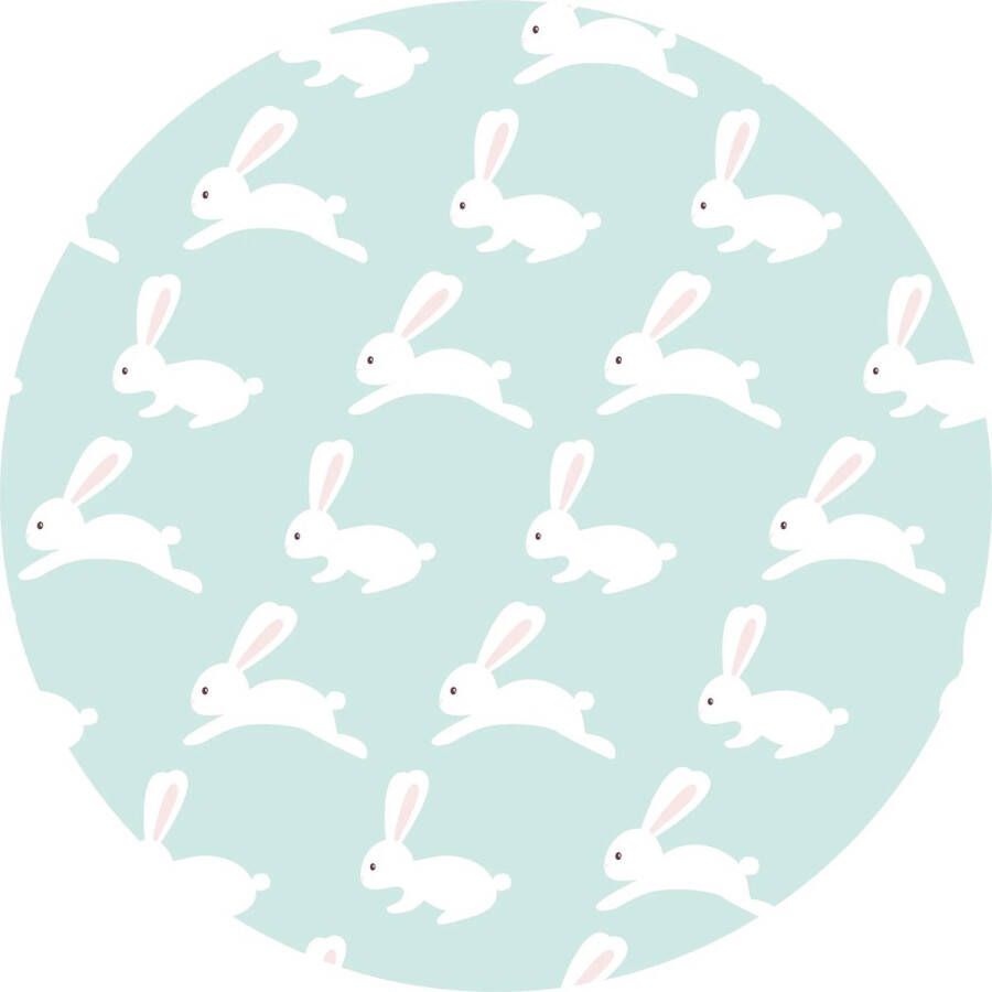 Vloerkleed vinyl rond Konijn 160 cm Rond Ontdek het Vloerkleed vinyl rond Konijn: duurzaam hygiënisch en stijlvol. Perfect voor kinderkamers eenvoudig schoon te maken en veilig voor kinderen. Maak je interieur compleet!