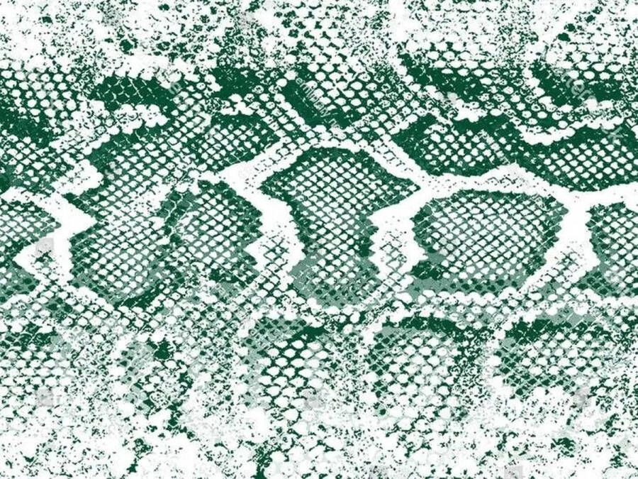 Vloerkleed vinyl Snake groen 90x120 cm Ontdek het Vloerkleed vinyl Snake groen: stijlvol duurzaam en gemakkelijk te reinigen. Perfect voor elk modern interieur en milieuvriendelijk. Ervaar comfort en elegantie in uw huis!