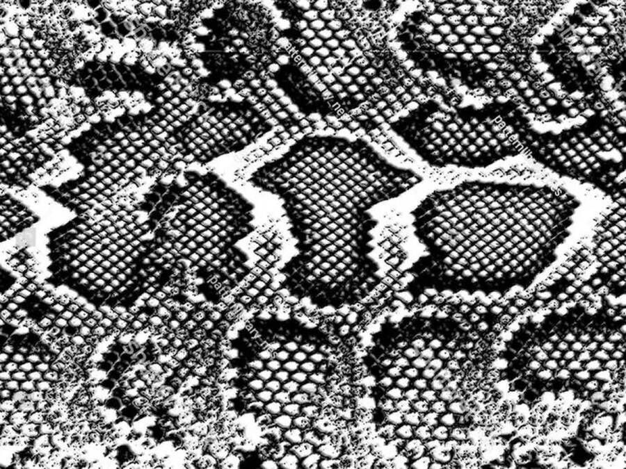 Vloerkleed vinyl Snakey 170x240 cm Vloerkleed vinyl Snakey biedt stijl en duurzaamheid. PVC-vrij hygiënisch en eenvoudig te onderhouden. Perfect voor gezinnen die comfort en modern design willen. Geniet van een gezondere leefomgeving!