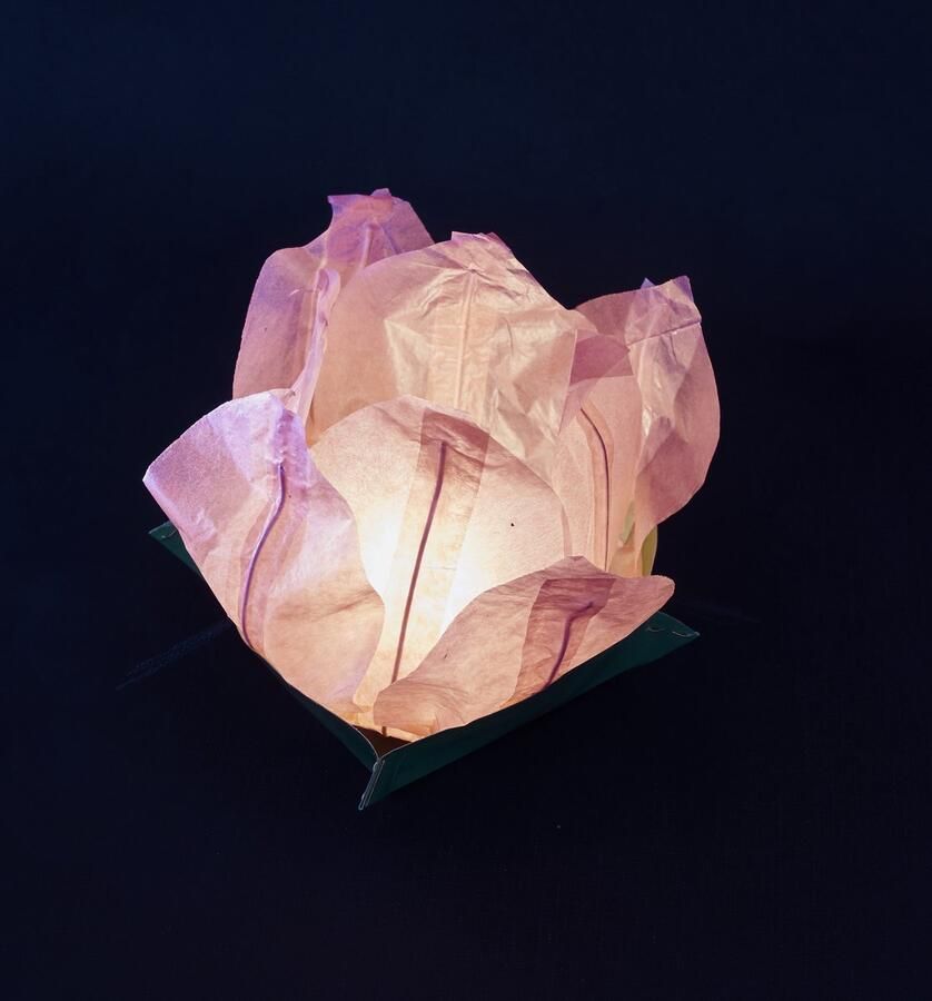 Volanterna – 10 Drijflantaarns in Bloemvorm – Roze Rijstpapieren Waterlantaarns – Voor Water of Tafel – Inclusief Waxinelichtje – diameter 30 cm opengevouwen 20 cm gevouwen