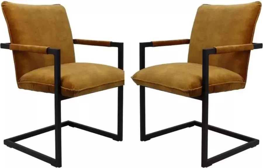 Vtw Living Eetkamerstoelen Set van 2 Eetkamerstoelen met armleuning Eetkamerstoel Velvet Goud