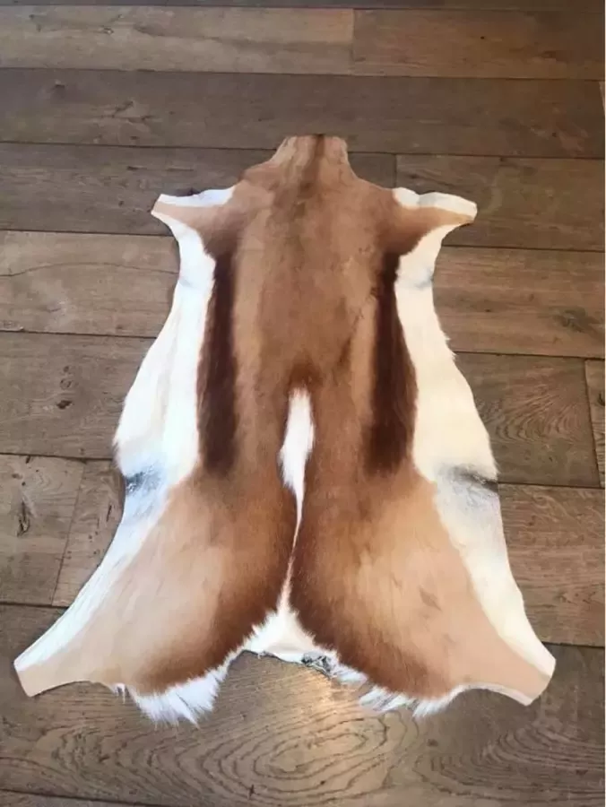 Vtw Living Springbok Echt Vloerkleed Dierenhuid Mat Landelijk Vacht Woondecoratie Hoge kwaliteit Premium 120 cm
