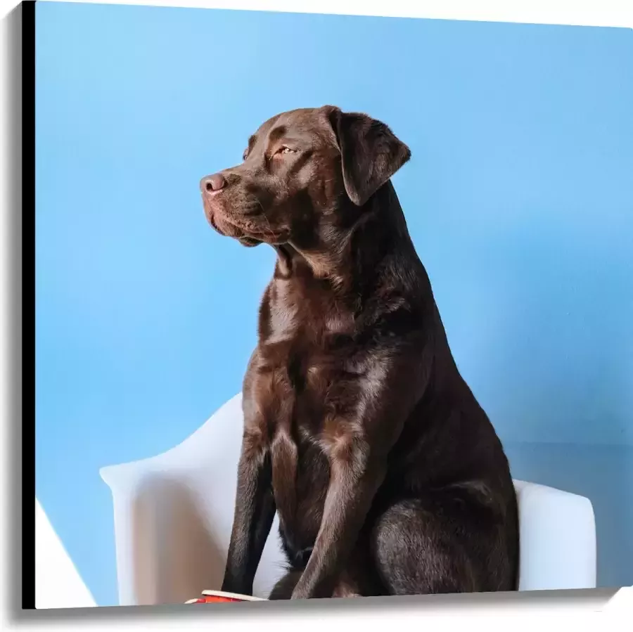 WallClassics Canvas Grote Hond Zittend op Stoel met Kop Koffie 100x100 cm Foto op Canvas Schilderij (Wanddecoratie op Canvas)