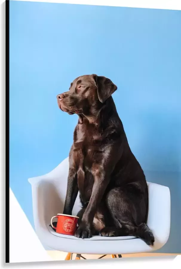 WallClassics Canvas Grote Hond Zittend op Stoel met Kop Koffie 100x150 cm Foto op Canvas Schilderij (Wanddecoratie op Canvas)