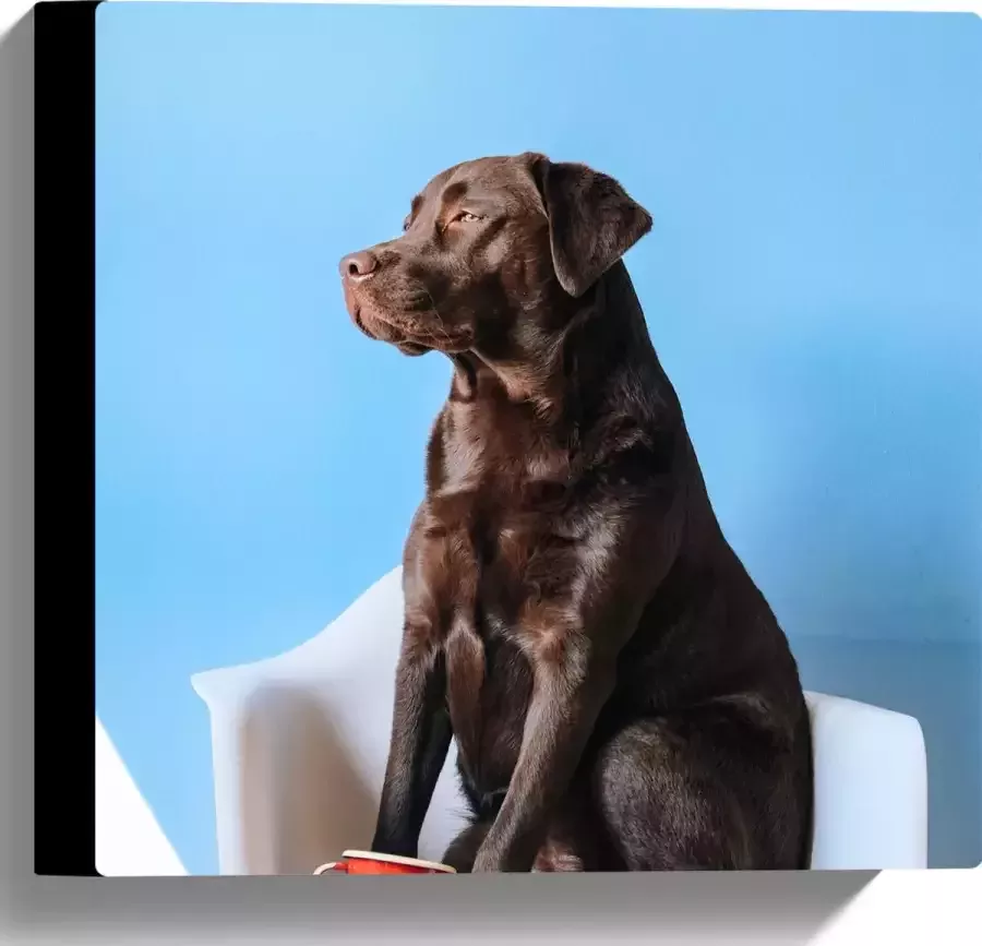WallClassics Canvas Grote Hond Zittend op Stoel met Kop Koffie 30x30 cm Foto op Canvas Schilderij (Wanddecoratie op Canvas)