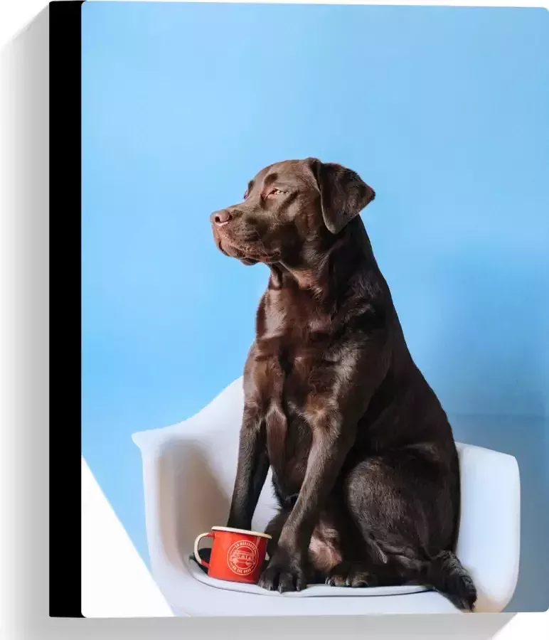 WallClassics Canvas Grote Hond Zittend op Stoel met Kop Koffie 30x40 cm Foto op Canvas Schilderij (Wanddecoratie op Canvas)